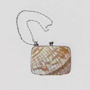 Antique XIXe century mother-of-pearl coin purse with chain